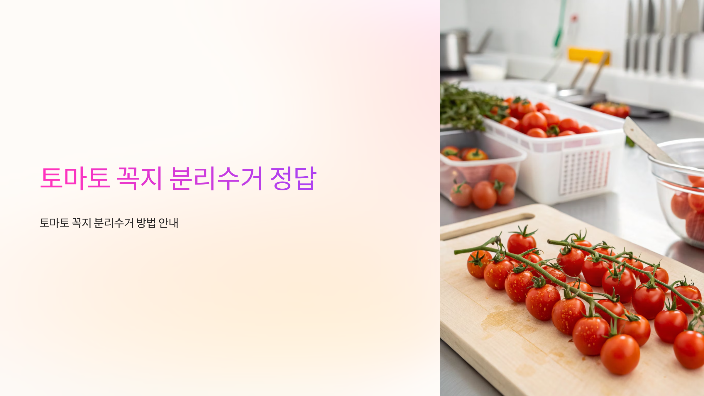 토마토 꼭지 분리수거 정답