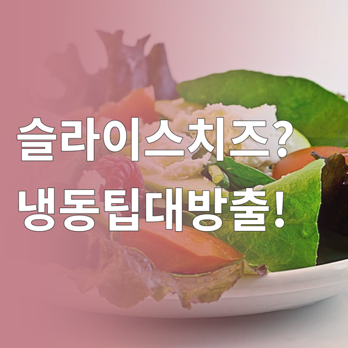 슬라이스 치즈 냉장보관부터 냉동까지 ..