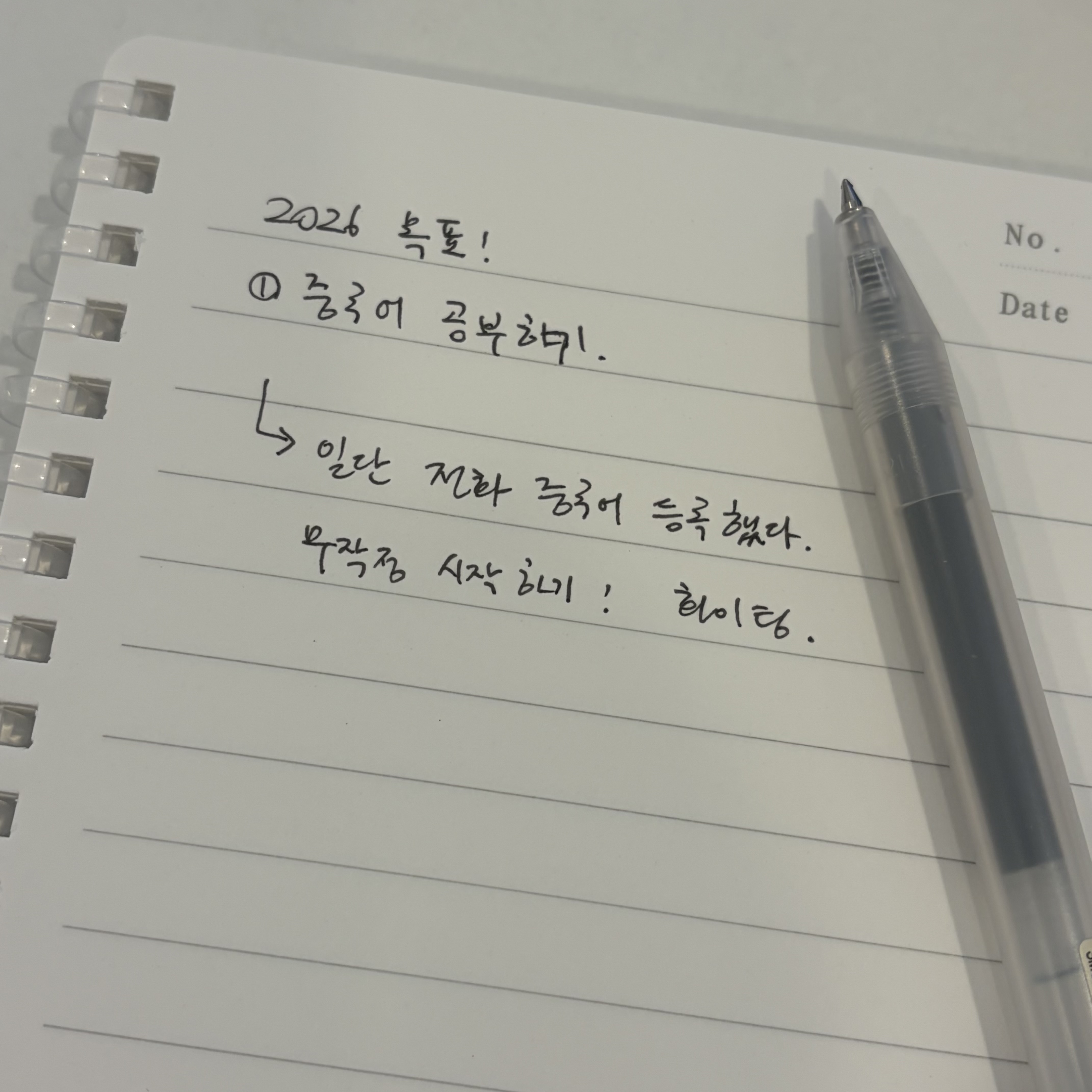 전화 중국어 후기, 왕초보 중국어 공부하기