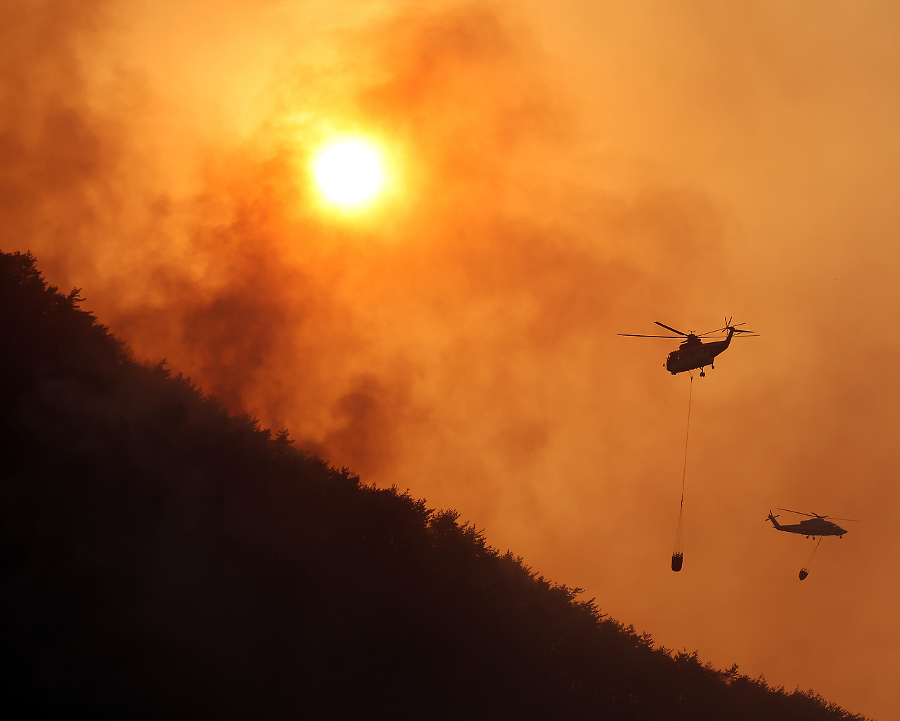경북 의성, 울산 울주에서 대형 산불이 발생