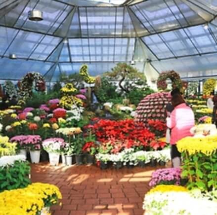 충청북도 11월 축제 일정표