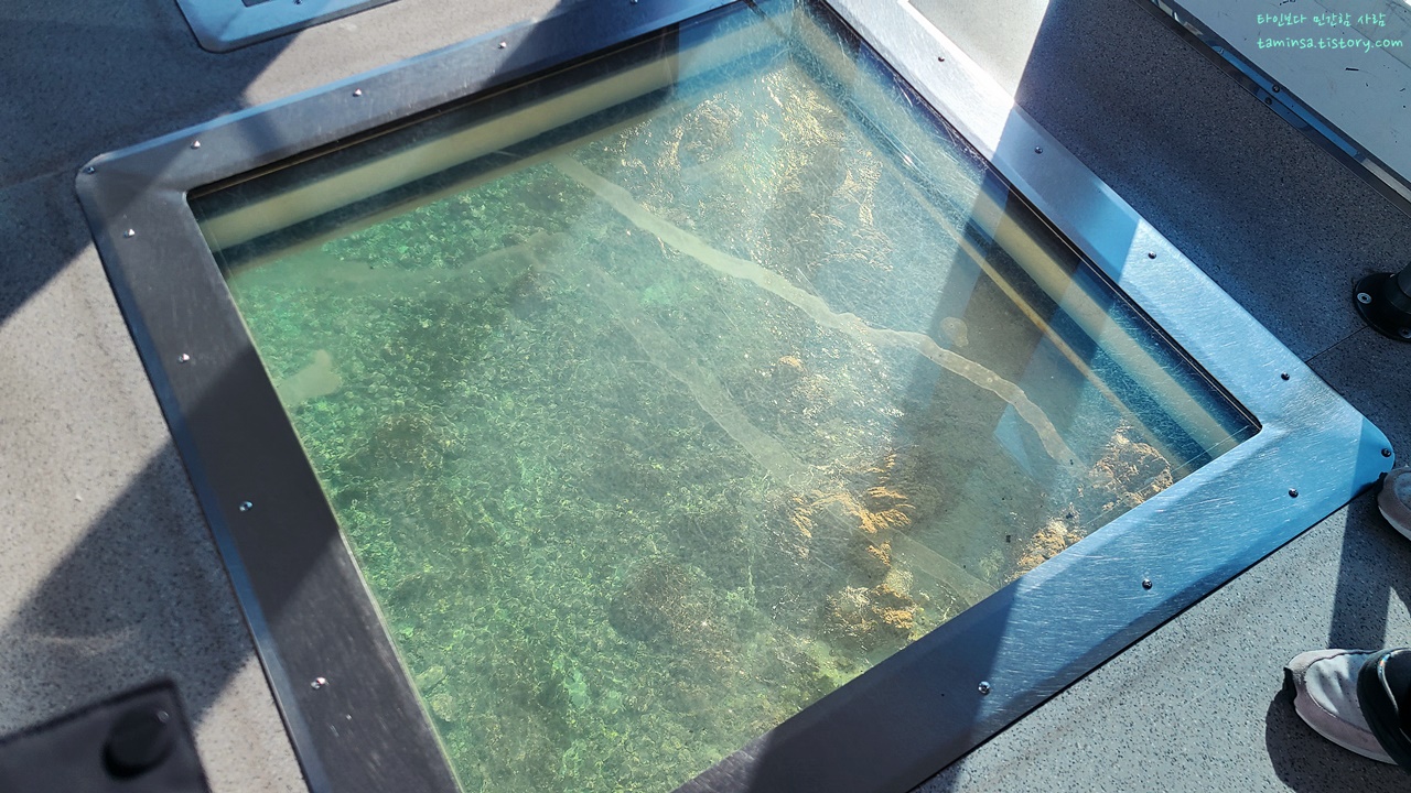 삼척해상케이블카-후기