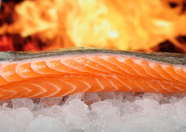 salmon