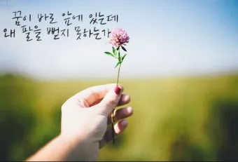 격언 100가지 명언 100가지 뜻_5