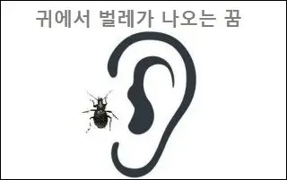 귀에서 벌레가 나오는 꿈