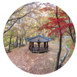 신단수쉼터