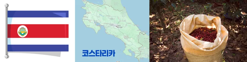 코스타리카커피