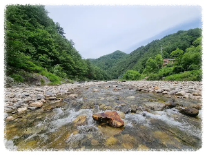 양양의 숨은 명소 법수치계곡