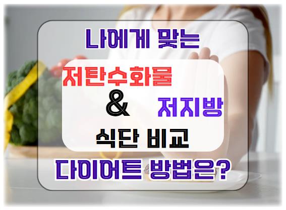 저탄수화물 vs 저지방 식단 비교: 나에게 맞는 다이어트 방법은?