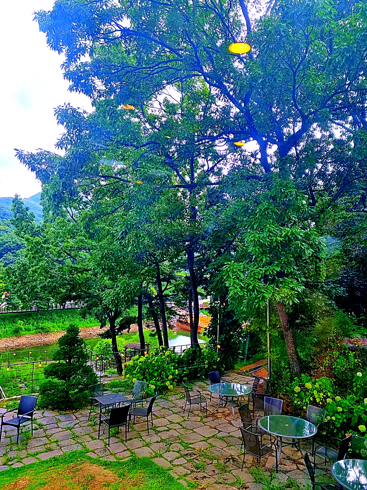 양주 오랑주리 카페: 자연 그대로 실내에 담은 대형 식물원 카페