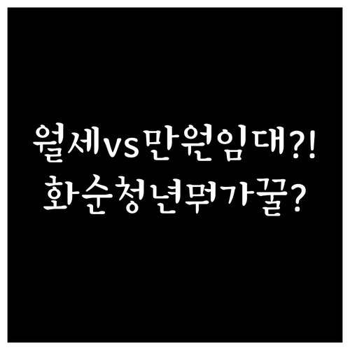 화순군 청년 주거 지원 일반 월세 v..