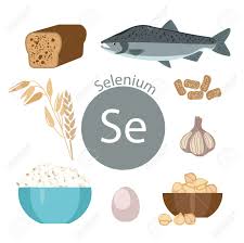 셀레늄의 중요성