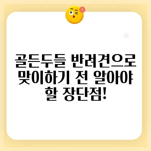 골든두들 반려견으로 맞이하기 전 알아야 할 장단점!