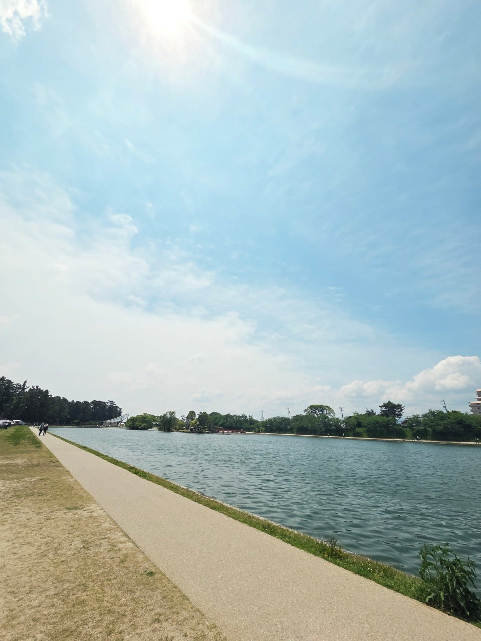 나고야역에서 쓰시마역 가는법&amp;#44;나고야역에서 츠시마역 가는법&amp;#44;후지마츠리&amp;#44;등나무축제&amp;#44;나고야 자유여행 &amp;#44;나고야근교여행&amp;#44;나고야소도시&amp;#44;나고야축제&amp;#44;일본축제