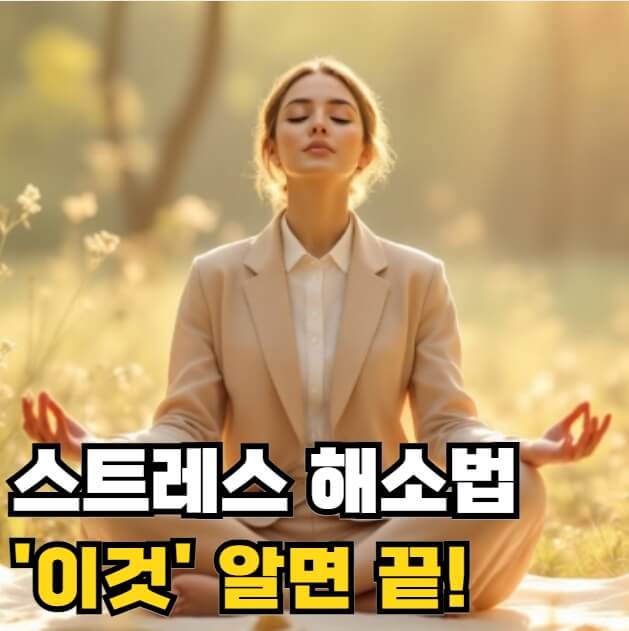 스트레스 해소법 관리 증상 원인