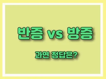 반증 방증 뜻 차이 맞춤법 한자_26