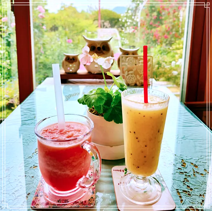 생방송 오늘저녁 논산 장미 정원&#44; 230종 야생화&#44; 식물원 카페&#44; 직접키운 와송&#44; 아로니아 스무디 맛집