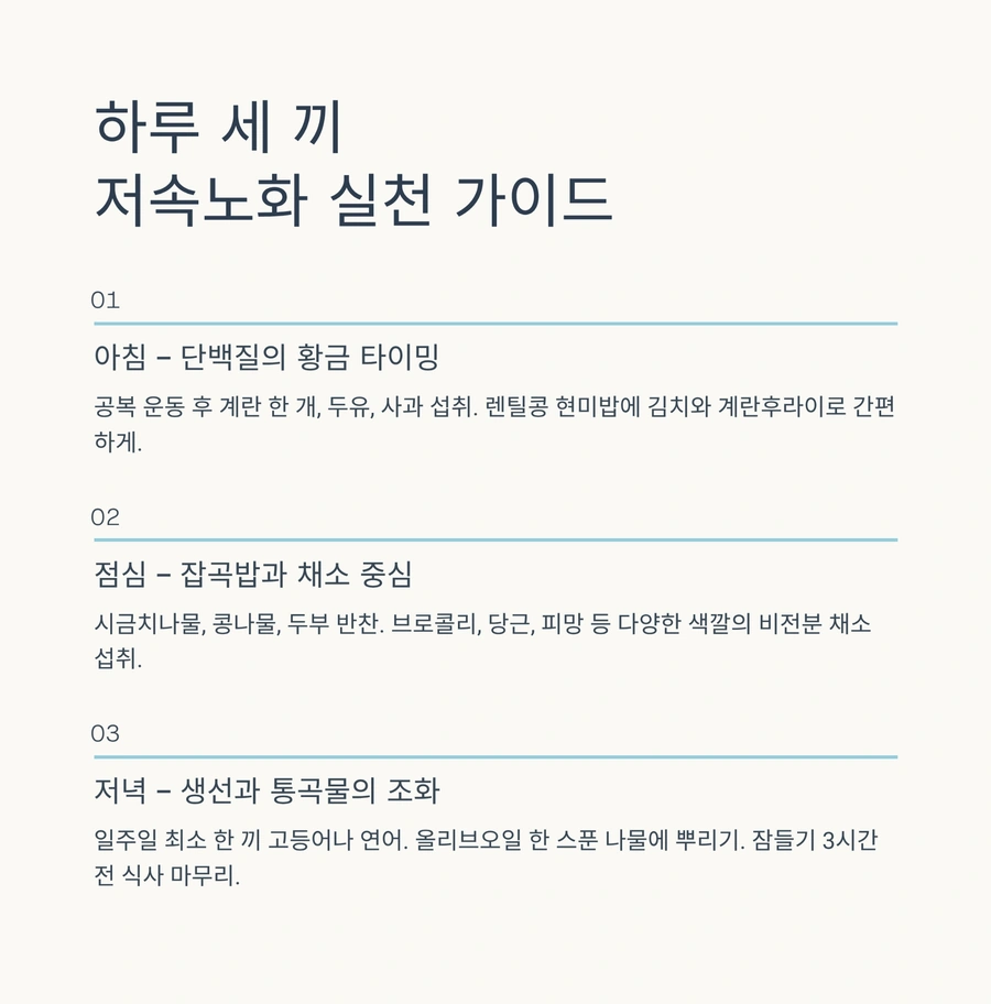 하루 세 끼로 실천하는 저속노화 식단 구성 가이드