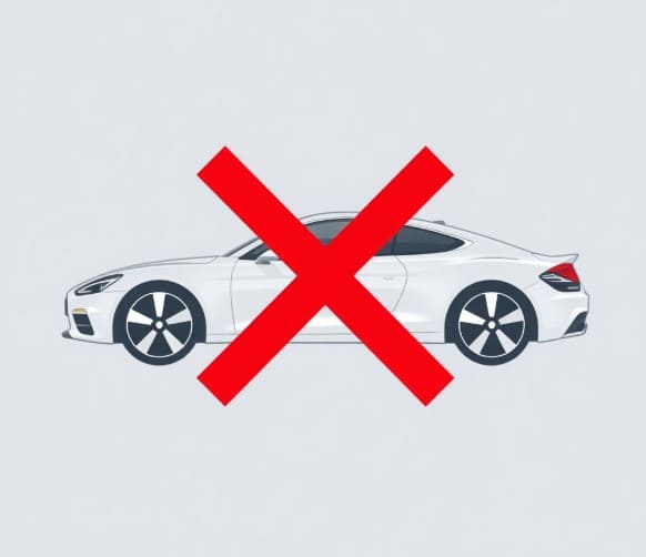 자동차가 재산에서 제외되는 상징으로 자동차에 'X'표시.