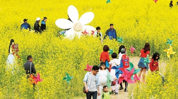 가족단위 나들이객이 붐비는 꽃밭