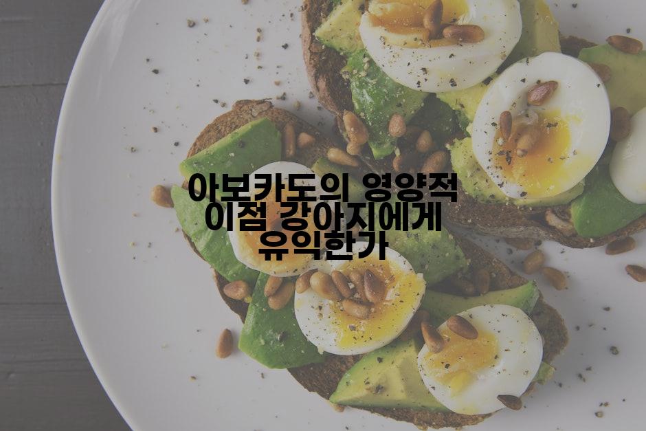 아보카도의 영양적 이점 강아지에게 유익한가