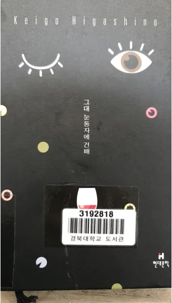 Son gli occhi tuoi 그대의 눈동자 Marcelo Álvarez Salvatore Licitra 완벽 오페라 감상_28