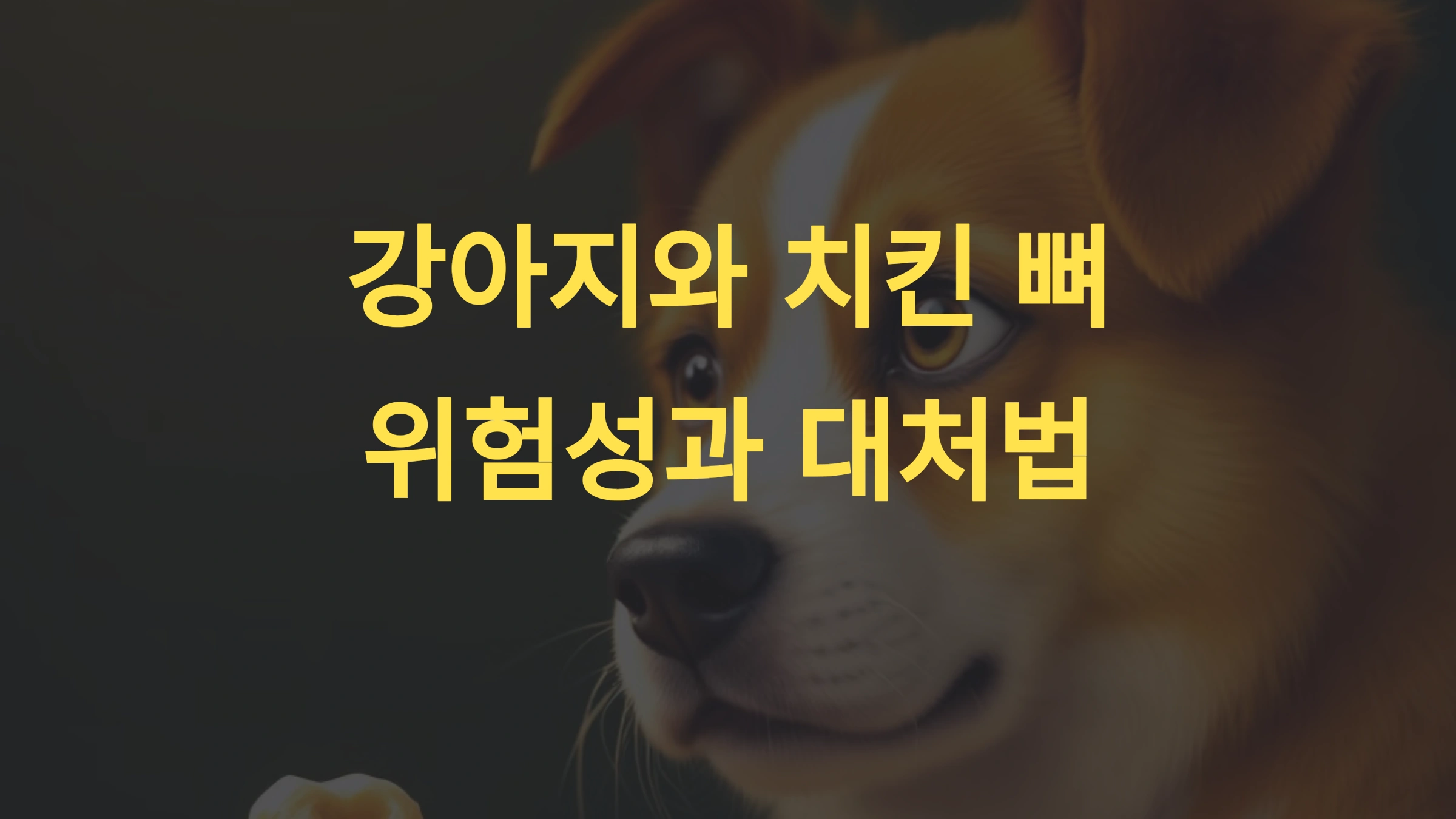 강아지가 치킨 뼈를 먹었을 때의 위험성