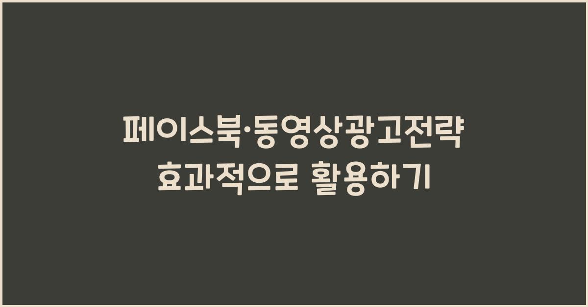 페이스북·동영상광고전략