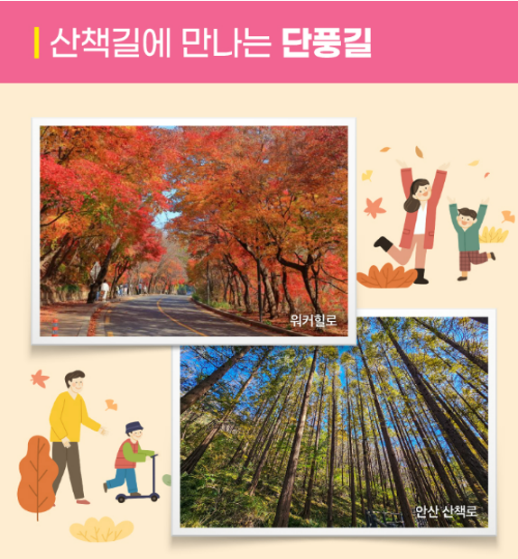 서울 단풍길 추천 단풍나들이