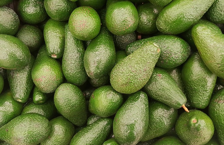 아보카도 부작용｜유래｜잘익은 아보카도｜칼로리｜영양소｜혈당｜권장