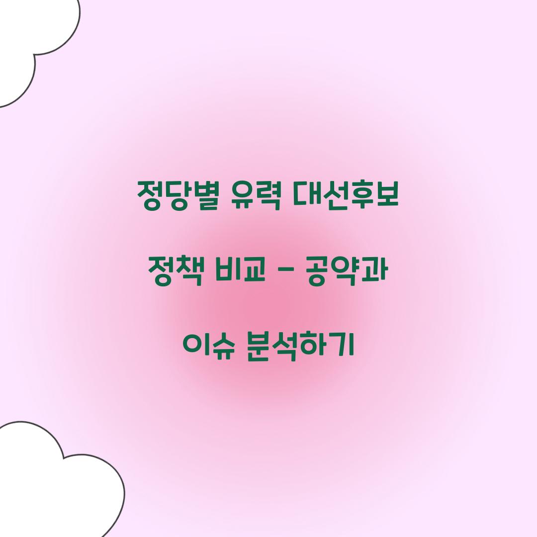 정당별 유력 대선후보 정책 비교