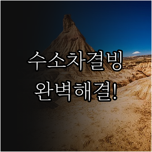 수소차 전해질막 성능 유지와 겨울철 ..