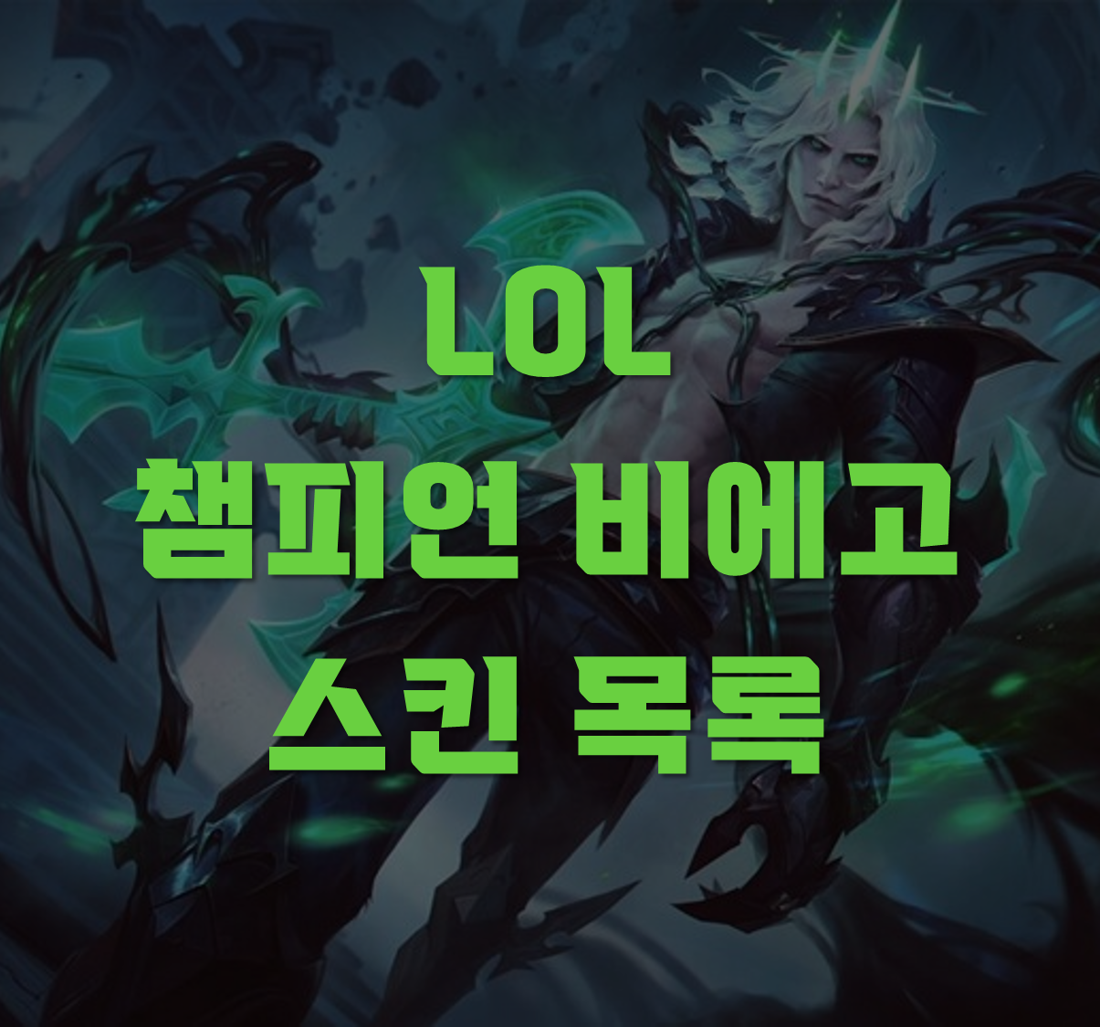 비에고 스킨