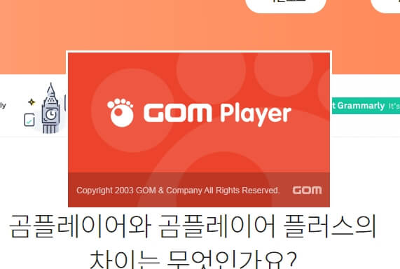 곰플레이어_다운로드