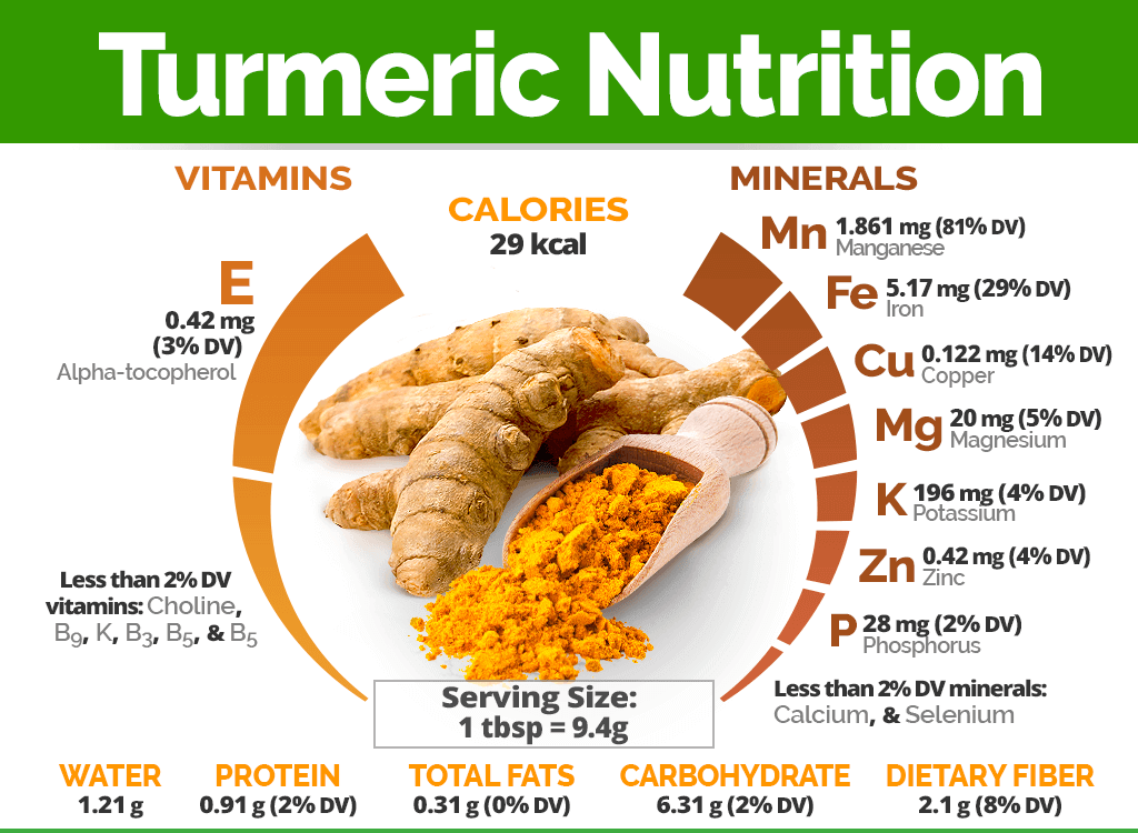 강황 추출물이란 ?