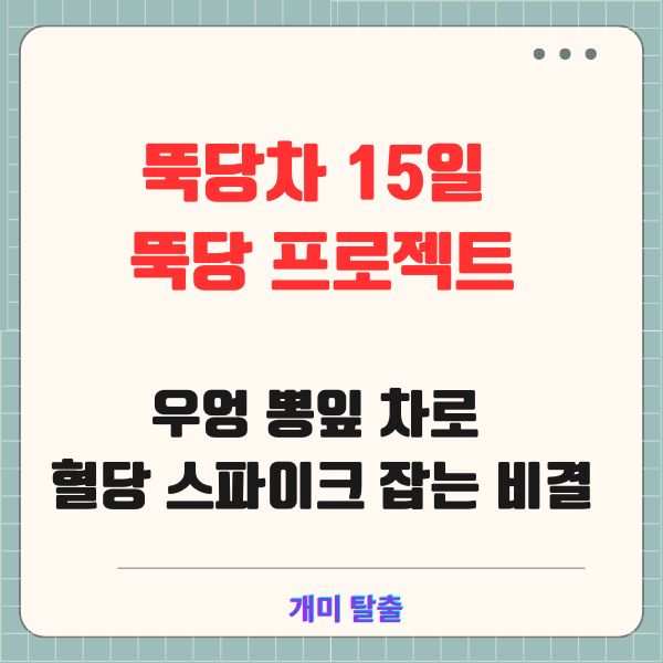 뚝당차 15일 뚝당 프로젝트: 우엉 뽕잎 차로 혈당 스파이크 잡는 비결