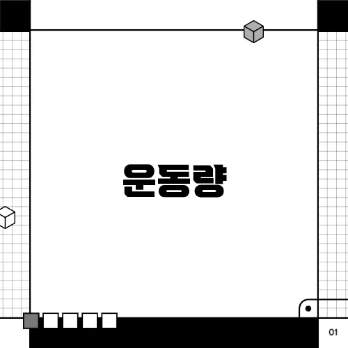 운동량