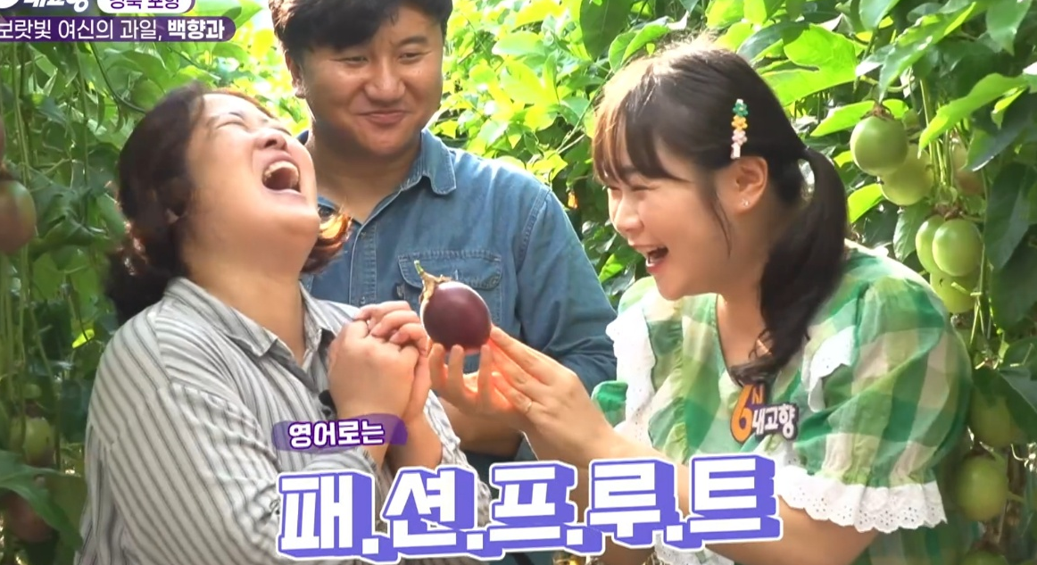 6시내고향 맛집