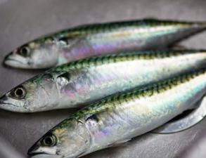 대상포진 후 신경통에 좋은 음식 영양제 식단