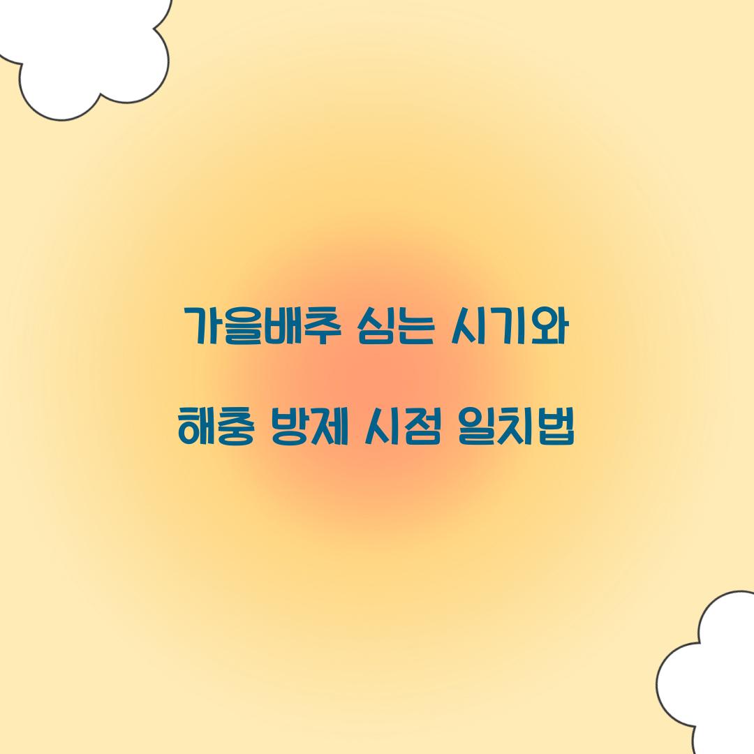 가을배추 심는 시기와 해충 방제 시점 일치법