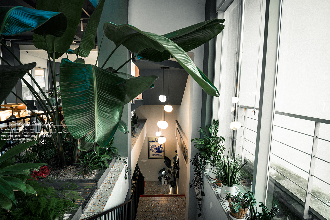 #청주 #카페 #카페멜