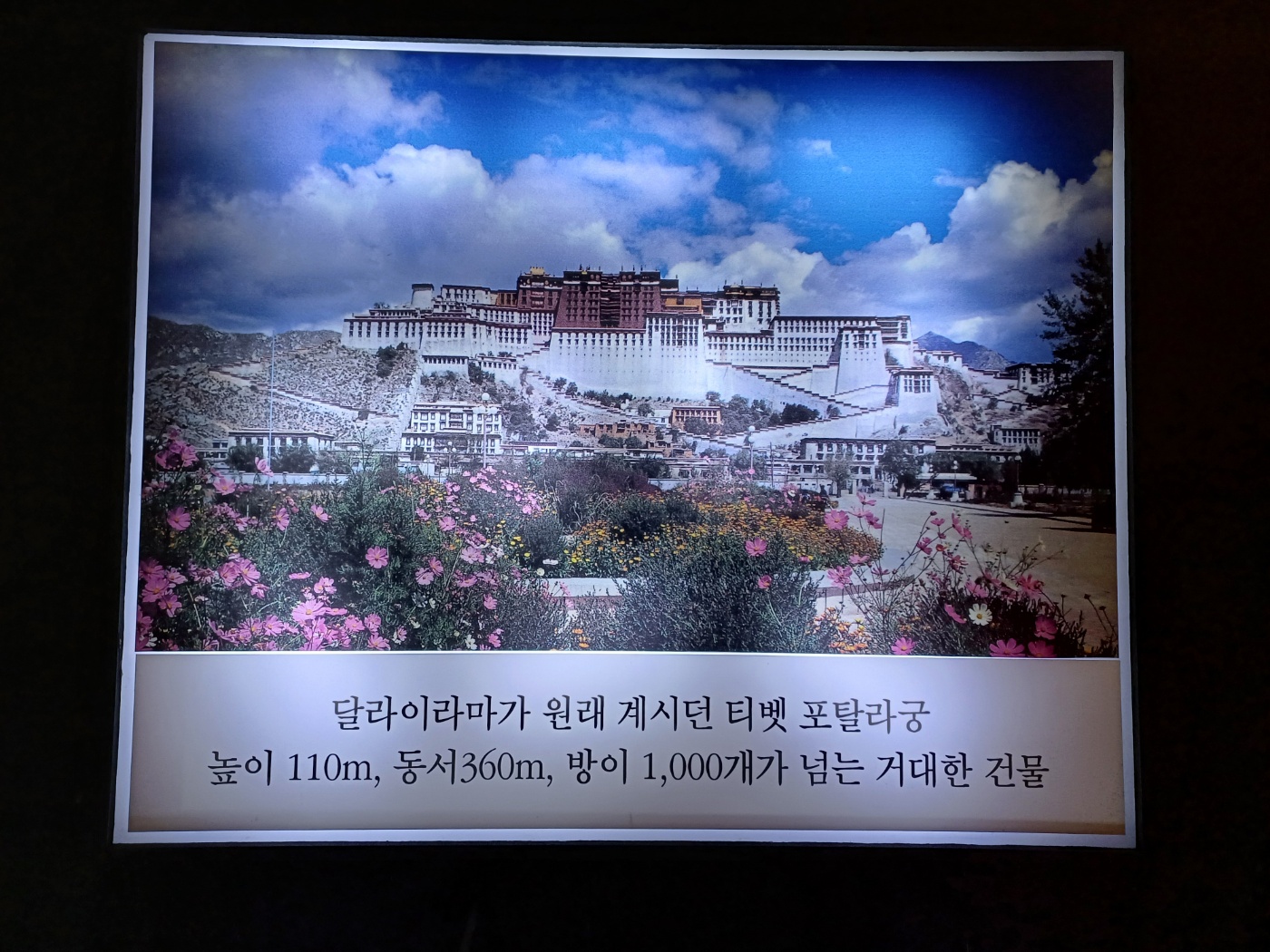대원사 티벳박물관