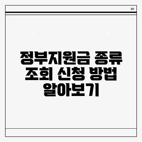 정부지원금 종류 조회 신청 방법 알아보기