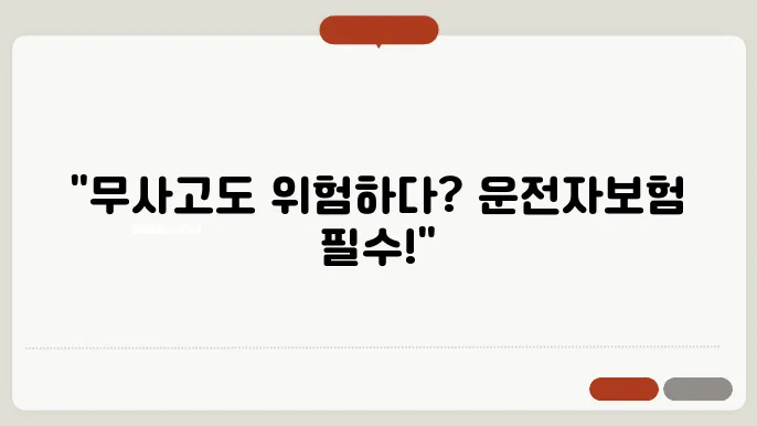 운전자 보험 필요성