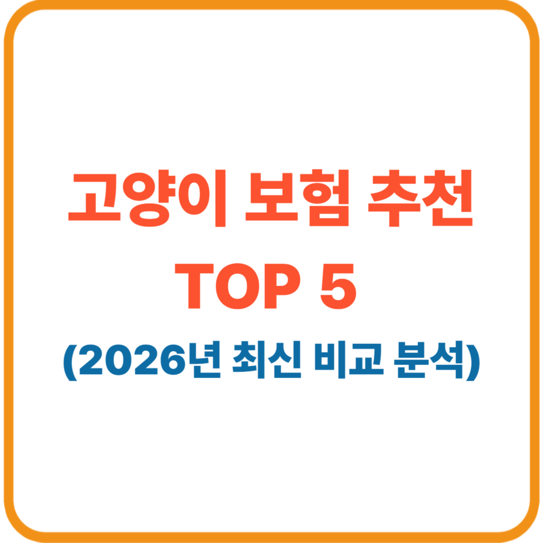고양이 보험 추천 TOP 5 (2026년 최신 비교 분석)