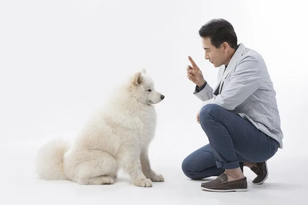 반려동물관리사 취득비용 온라인강의 취업처 은퇴 후 반려업 진입법_6