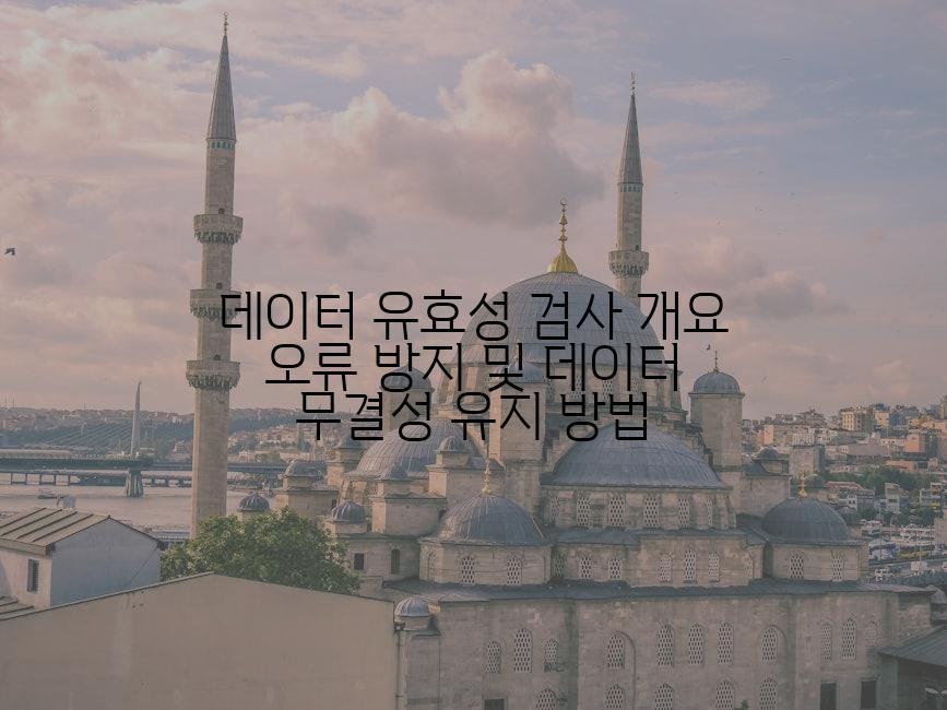 데이터 유효성 검사 개요 오류 방지 및 데이터 무결성 유지 방법