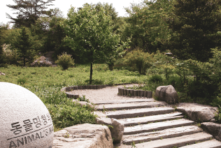 평창 가볼만한곳