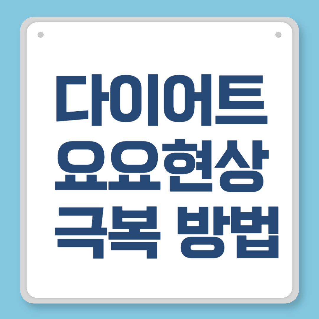 다이어트 요요현상 극복 방법, 무너진 체중 되돌리는 실전 전략
