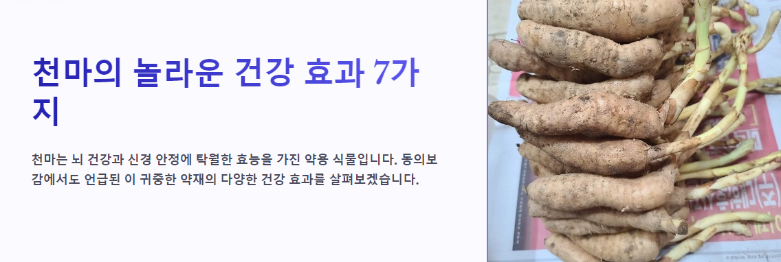 천마 효능을 알고 싶다면? 놀라운 건강 효과 7가지